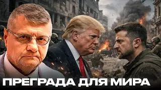 Дональд Трамп против Зеленского: кто на самом деле мешает миру?