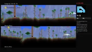 Playing terraria with my brother wolfprotection.
