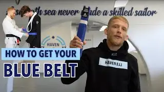 How to get your BJJ Blue Belt - Haven BJJ Rotterdam