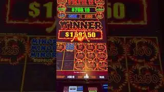 Wild Unexpected Phoenix Link Jackpot on 2.50 bet! #casino #jackpot #slotmachine #bigwin