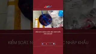 Kiểm so&aacute;t, ngăn chặn việc nhập khẩu t&ocirc;m h&ugrave;m đất | Truyền h&igrave;nh Hậu Giang