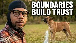 Boerboel DOG LAWS. Rules and Regulations for Governing Your Domestic Canine