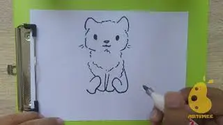 How to Draw snow leopard