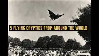 List of 5 Flying Cryptids from Around the World