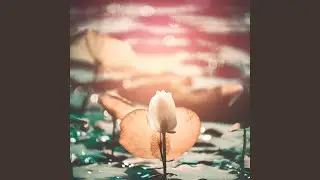 Light Between Worlds