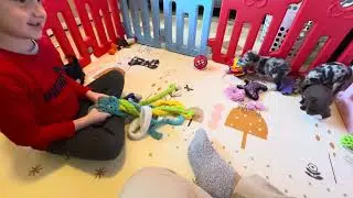 Valentina and Beni’s Litter