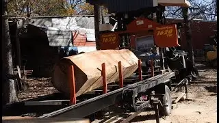 Вяз на кровати TimberKing &ndash; действительно ли он на что-нибудь годится?