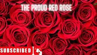 The Proud Red Rose