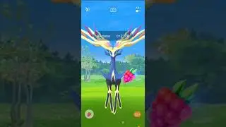 Win EX RAID GYM And CAUGHT Legendary Pokemon Xerneas 2128CP 👌