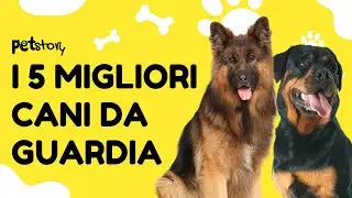 Cani da guardia: le 5 migliori razze