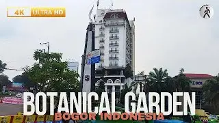 Walking Around Bogor Botanical Garden | Bogor Indonesia 4K
