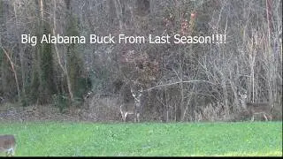 Deer Hunting | Alabama | Late Season Success (2025) #hunting #alabama #deerhunting #alabamahunting