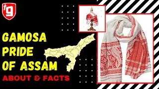 About Assamese Gamosa: The Pride of Assam | The Gamosa