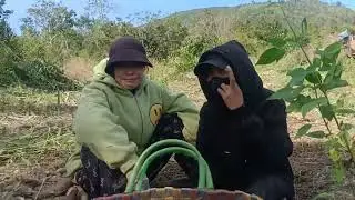 Tây Nguyên trời nắng và gió 