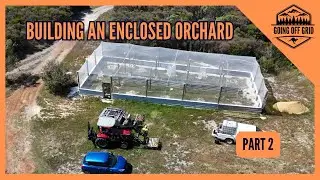 Building An Enclosed Orchard Part 2! #offgridaustralia #goingoffgrid #sustainableliving