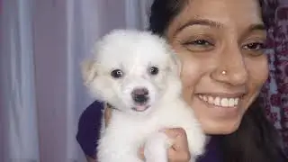 my dog name | day  ruting for my puppy