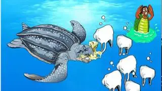 TUTO TORTUES - Menaces & Protection 5 - Quelles menaces humaines pèsent sur les tortues marines ?