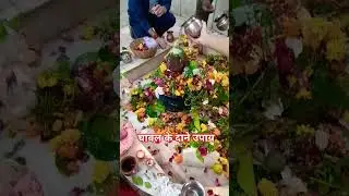 चावल के दाने #pradeepmishraji #upay #pradeepmishrajidhankeupay #pradeepmishralive