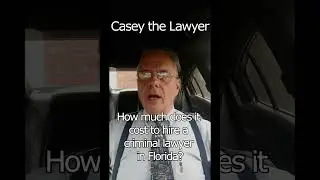 How much does it cost to hire a criminal lawyer in Florida?