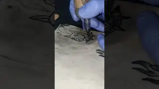 un perro con aguja 5RL