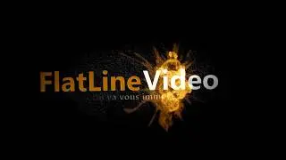 FlatLineVideo goes to Japan - Summer'18