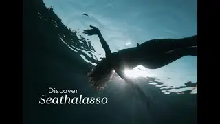 Douglas Home Spa- Seathalasso