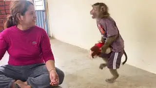 Smart Jason Tell Mom Not To Chop Little Monkey(toy) With Chicken