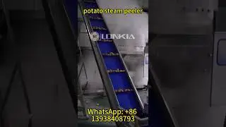 Amazing Potato Steam Peeler in Action! #foodprocessing #potato #peelingmachine #peeler  #machine
