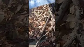 Я попытался исследовать окрестности этого места с помощью методов городского исследования.