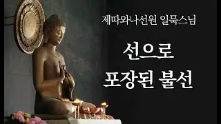 선으로 포장된 불선ㅣ일묵스님ㅣ제따와나선원 정기법회 2023.05.24