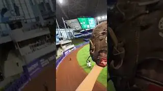 Great catch #ballhawk #baseball #ball