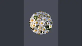 Deepa’s Tarot is live!