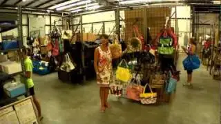 Diva Girl Purse Party TOUR_youtube.flv
