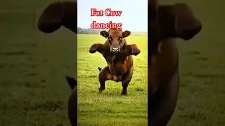 Sapi Gemuk Joget.#music #sapigendut #cow #sapigemuk #animals #sapilucu #funny #shorts #trending