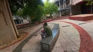 A whoop Paradise | Part 01