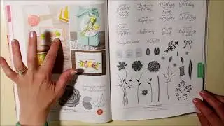 2018-2019 Annual Stampin' Up! catalog walk through