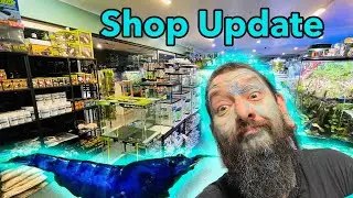 Aquarium Store Upgrade / Seachem Deal!
