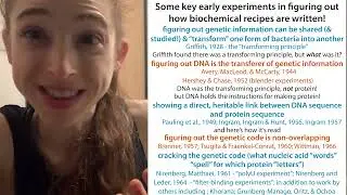Key classic biochemistry/mol biology experiments inc. Griffith, Avery, Chase, Ingram, & Nirenberg