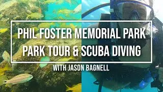 🤿 Phil Foster Memorial Park | Park Tour | Snorkel Trail | Blue Heron Bridge Scuba Diving