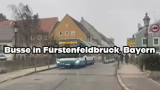 Busse in F&uuml;rstenfeldbruck, Bayern