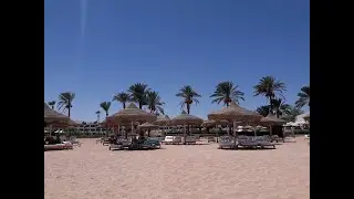 ОБЗОР ПЛЯЖА Baron Palms 5* ЕГИПЕТ 2019 ОТЕЛЬ ТОЛЬКО ДЛЯ ВЗРОСЛЫХ НАШ ЛУЧШИЙ ОТДЫХ В ШАРМ ЭЛЬ ШЕЙХ