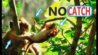 SHOCKED...NO CATCH NO CARE LESS ATTENTION MUM ANNA FOR BABY ALBA // ALBA NEARLY FALL FROM HIGH TREE