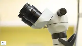 About Tirupati Eye Centre  I Eye Hospital in Noida I  Eye Specialist in Noida I Eye Doctor in Noida