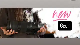 Новый объектив для видео- и фотосъемки диких лошадей.