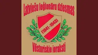 Caur sidraba birzi gāju