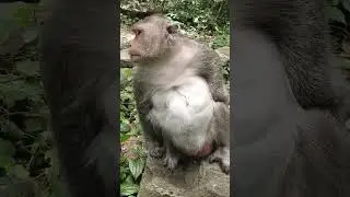 Jade Hopeless When Give birth