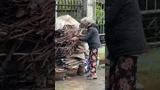 Old mama san. Getting this weeks cooking fuel together