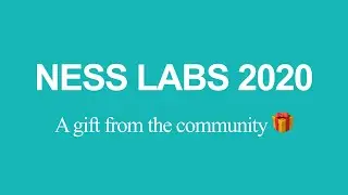 Ness Labs Community 2020 - A gift for Anne-Laure 🎁