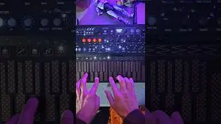 Affordable small Synth that is a BEAST @ArturiaOfficial #producer #synth #musicproducer #keyboard