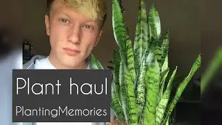 Plant haul | Autumn/fall